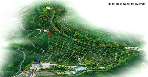 1-22020Q12122N1 J9国际集团(中国)-官方网站