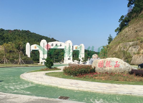1-22020Q1214D06 J9国际集团(中国)-官方网站