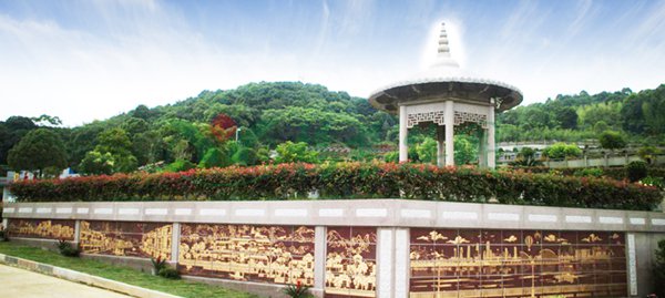 1-22020Q24G2231 J9国际集团(中国)-官方网站