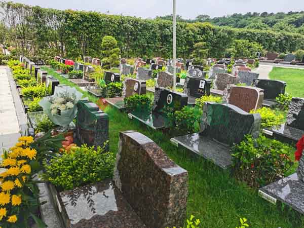 1-2202240S334P3 J9国际集团(中国)-官方网站