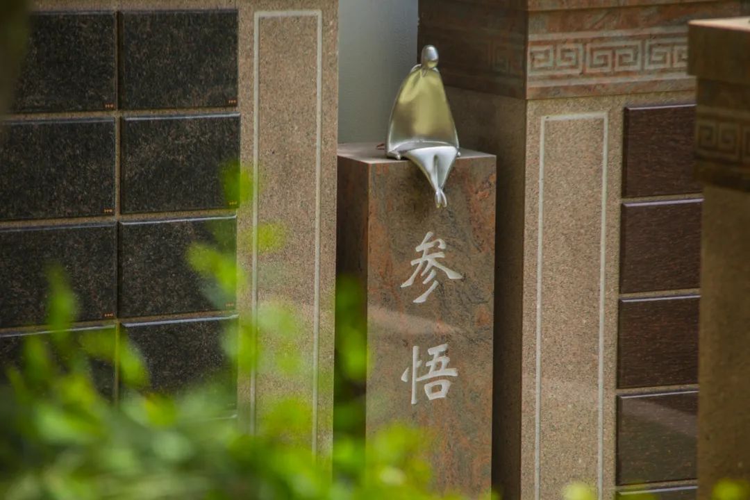 1-23050Q6142T28 J9国际集团(中国)-官方网站