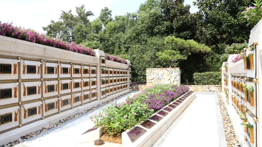 <b>在合肥大蜀山文化陵园，与生命温柔对话</b>