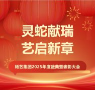 灵蛇献瑞 艺启新章 | J9国际集团集团2025年度盛典暨表彰大会