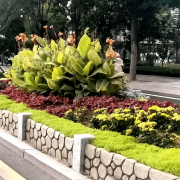 无机仿真石花箱：以永恒之名，塑未来之境